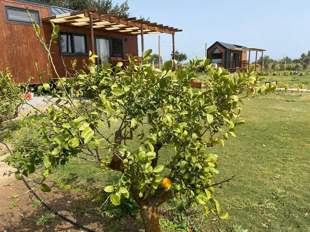 Holiday home Radika Datca Kizlan Turkey