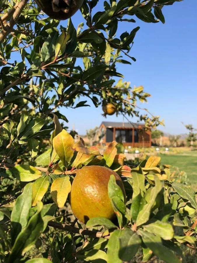 Radika Datca Kizlan 0*,  Turkey